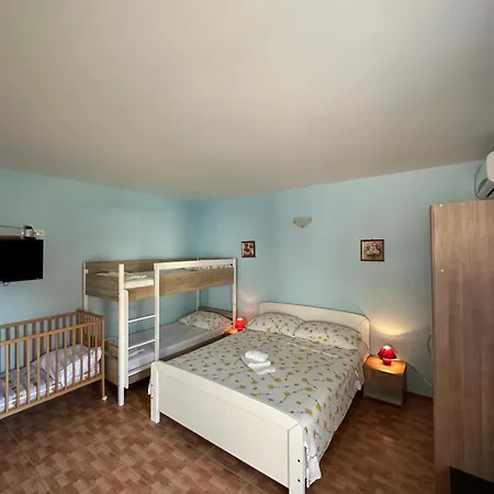 Palinic クレック